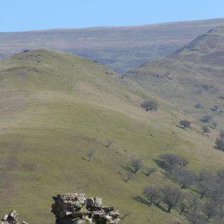 Dinas Castle Inn Брекон Экстерьер фото